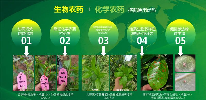 新朝陽(yáng)在第六屆中國(guó)農(nóng)藥行業(yè)市場(chǎng)和銷(xiāo)售高峰論壇做“生物農(nóng)藥+化學(xué)農(nóng)藥，引領(lǐng)植保市場(chǎng)未來(lái)”主題報(bào)告
