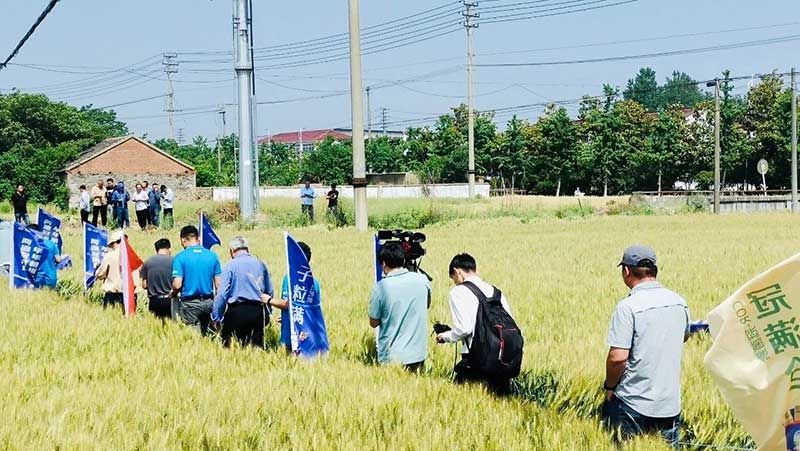 520健康植保日——擁抱綠色農(nóng)業(yè)，我們在行動
