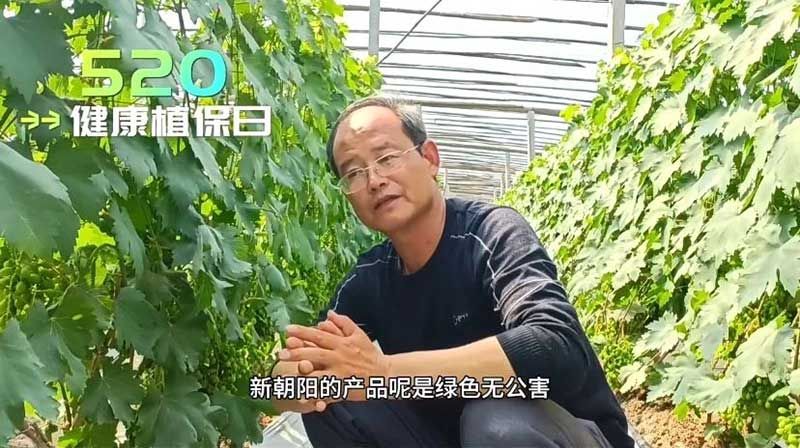 520健康植保日——擁抱綠色農(nóng)業(yè)，我們在行動
