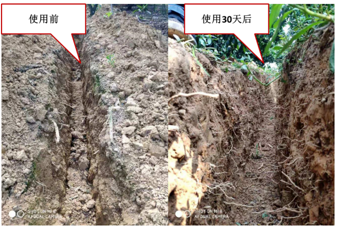 “土壤板結(jié)克星”：土壤調(diào)理劑你了解多少？